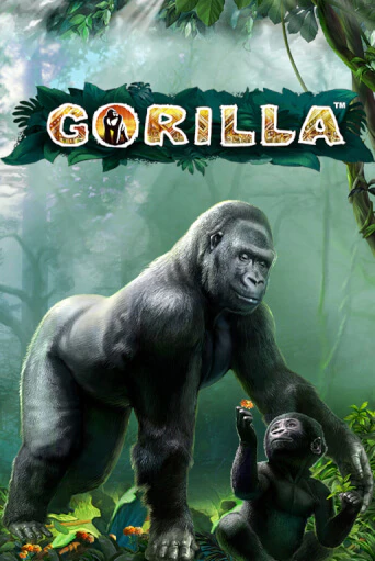 Gorilla - играть онлайн | Казино GMSlots бесплатно без регистрации